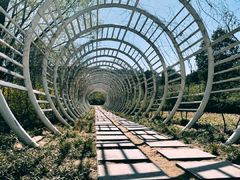 -郑州植物园