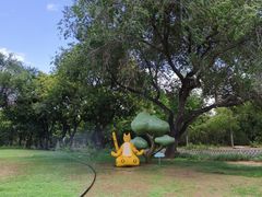 -北京西山国家森林公园