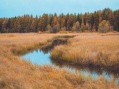 -塞罕坝国家级自然保护区