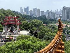 -黄鹤楼公园(黄鹤楼)