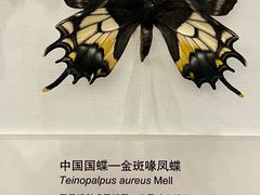 -天津自然博物馆