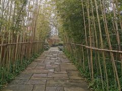 -新荣记(西溪湿地店)