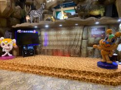-卡通尼·Safari非洲探索乐园·生日会(金桥国际商业广场店)