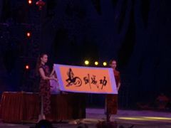 -灵玲国际马戏城
