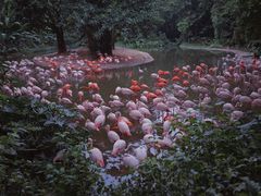 -广州长隆野生动物世界