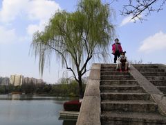 -青枫公园