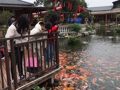 -大门水乡·顺德菜