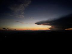-武陵山森林公园