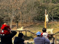 -宁波野生动物园