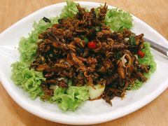 三巴小鱿鱼-龍海鲜螃蟹王(大巴窑)