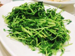 -蝶园·装修中(BFC外滩金融中心店)