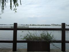 -鹅湖玫瑰文化园