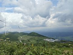 -齐岳山