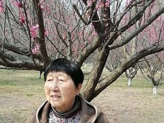 -南湖湿地公园