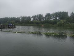 -溱湖国家湿地公园