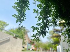 -回龙窝历史文化街区