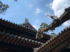 -晋祠公园