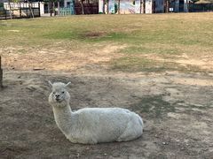 -南丹山森林王国