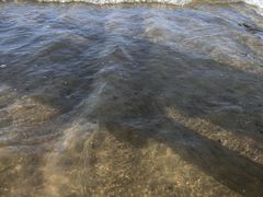 -日照海滨国家森林公园