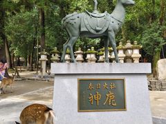 -奈良公园