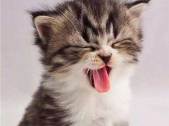 -新疆天山野生动物园