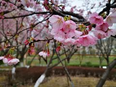 -白塘生态植物园