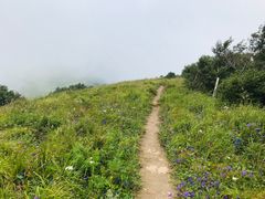 -灵山