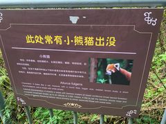 -苍山感通索道