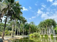 -西双版纳傣族园