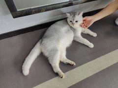 -AK健身普拉提拉伸私教馆(中八店)