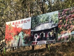 -红螺寺