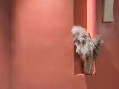 -九间泰·泰式古法按摩SPA(环贸iapm店)