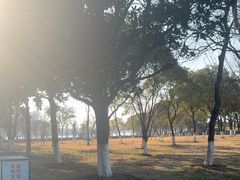 -暨阳湖生态园