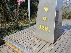 -江南天池