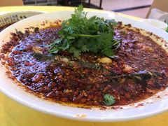 -胖大姐黄辣丁鱼庄(新津店)