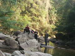 -花岩国家森林公园