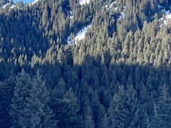 -丝绸之路山地度假区滑雪场