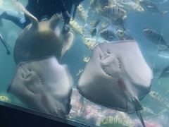 -洛阳龙门海洋馆