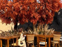 -Blue Concept Cafe&Farm·關於藍