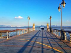 -深圳湾公园(南山区)