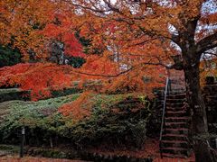 -三千院