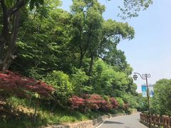 -杭州半山国家森林公园