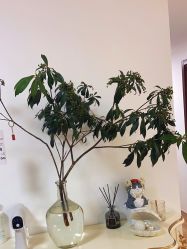 -美肤盾祛痘·问题肌头疗管理中心