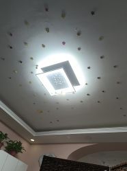 -香薇妮丝·定制减肥·身材管理