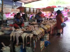 -树木岭集贸市场(劳动东路)