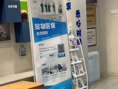 -伟伟宠物医院·CT影像中心·瑞派犬猫综合性门诊(汉口总院)