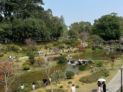-东莞植物园
