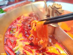 -小龙翻大江文化火锅(宽窄店)