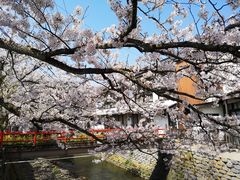 -城崎温泉 外七汤