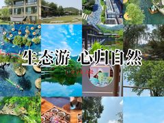 -黄陂区野村谷景区
